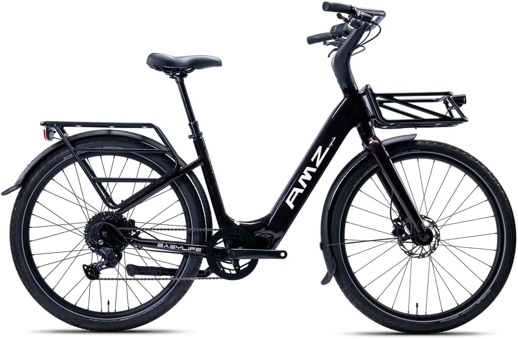 Electric Bike for Adults and Teens, Commuter City ebike with 720W Motor 48V 15Ah Removable Battery for Women, Electric Cargo Bicycle Suitable for Commuting and Shopping, FICR Internal Cable Routing