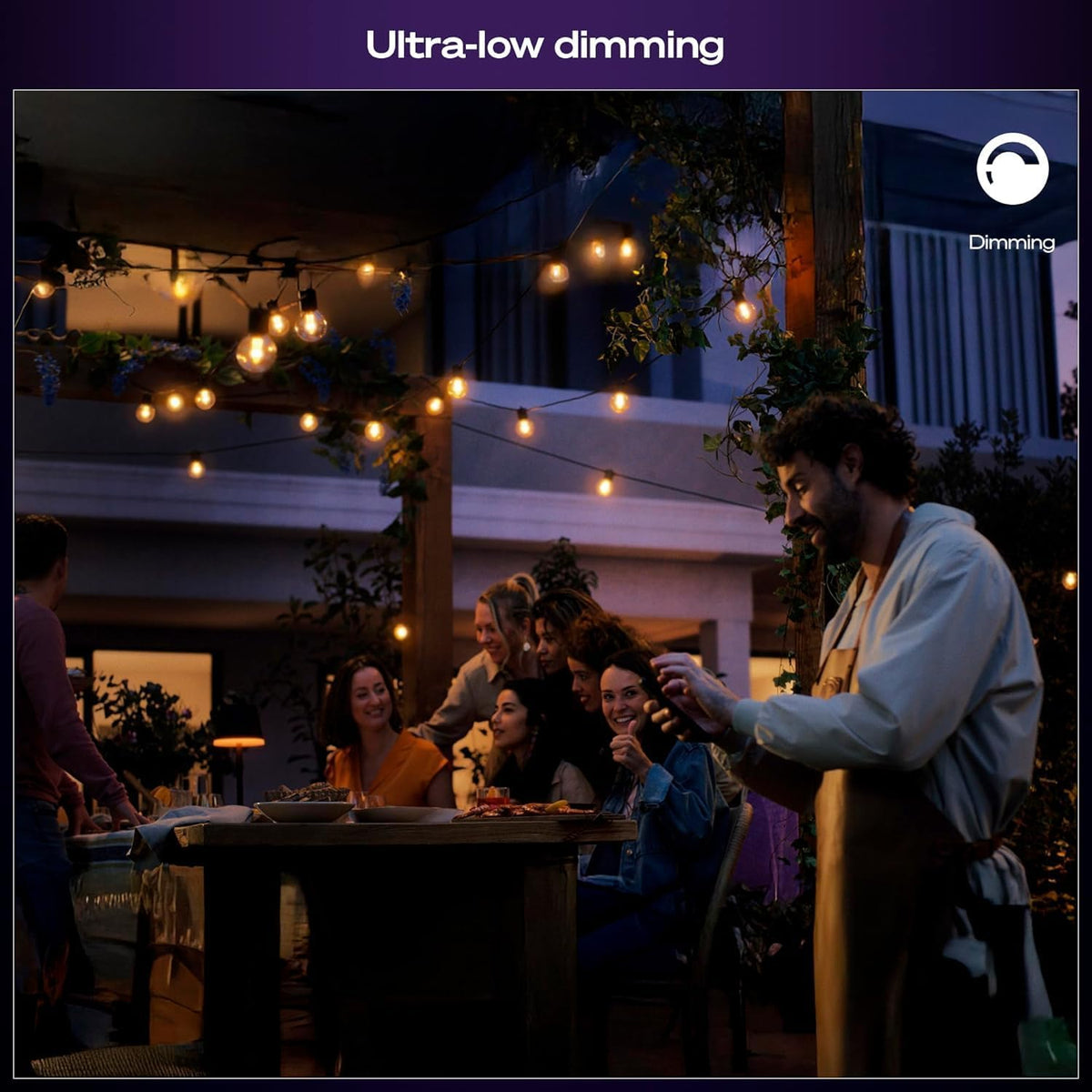 Philips Hue Festavia Globe Outdoor String Lights, White & Color Ambiance, 45ft,16 Bulbs, Dimmable, Control with Hue App or Voice, Bridge Required