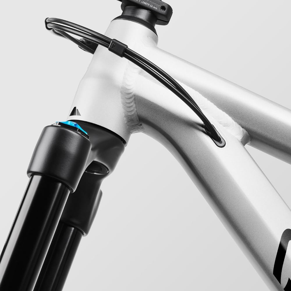 Canyon Spectral 6