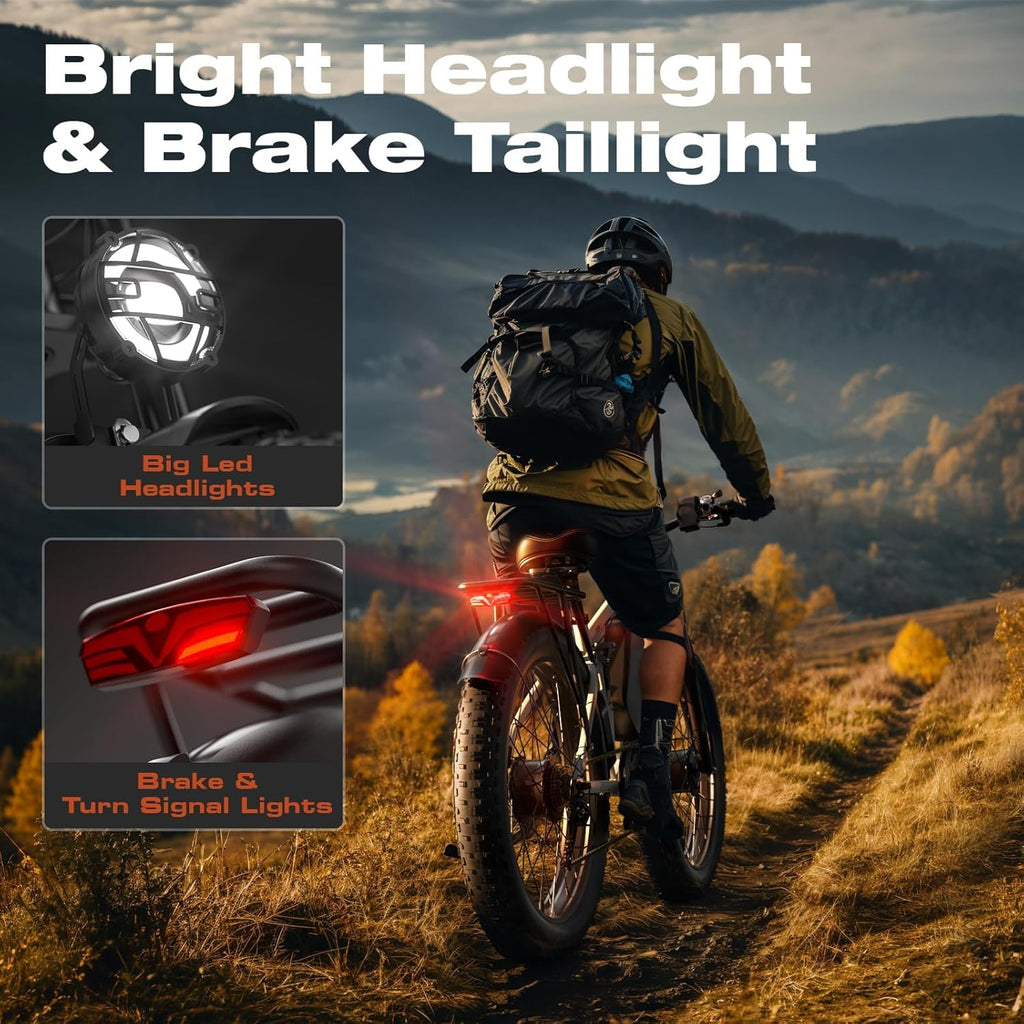4000W Dual Motor Ebike with 52V 25Ah Removable Battery for Adults,Max Speed 38MPH Up to 100 Miles,24" Fat Tire Electric Bike for Snow Off-Road Commuter E-Bike for Men