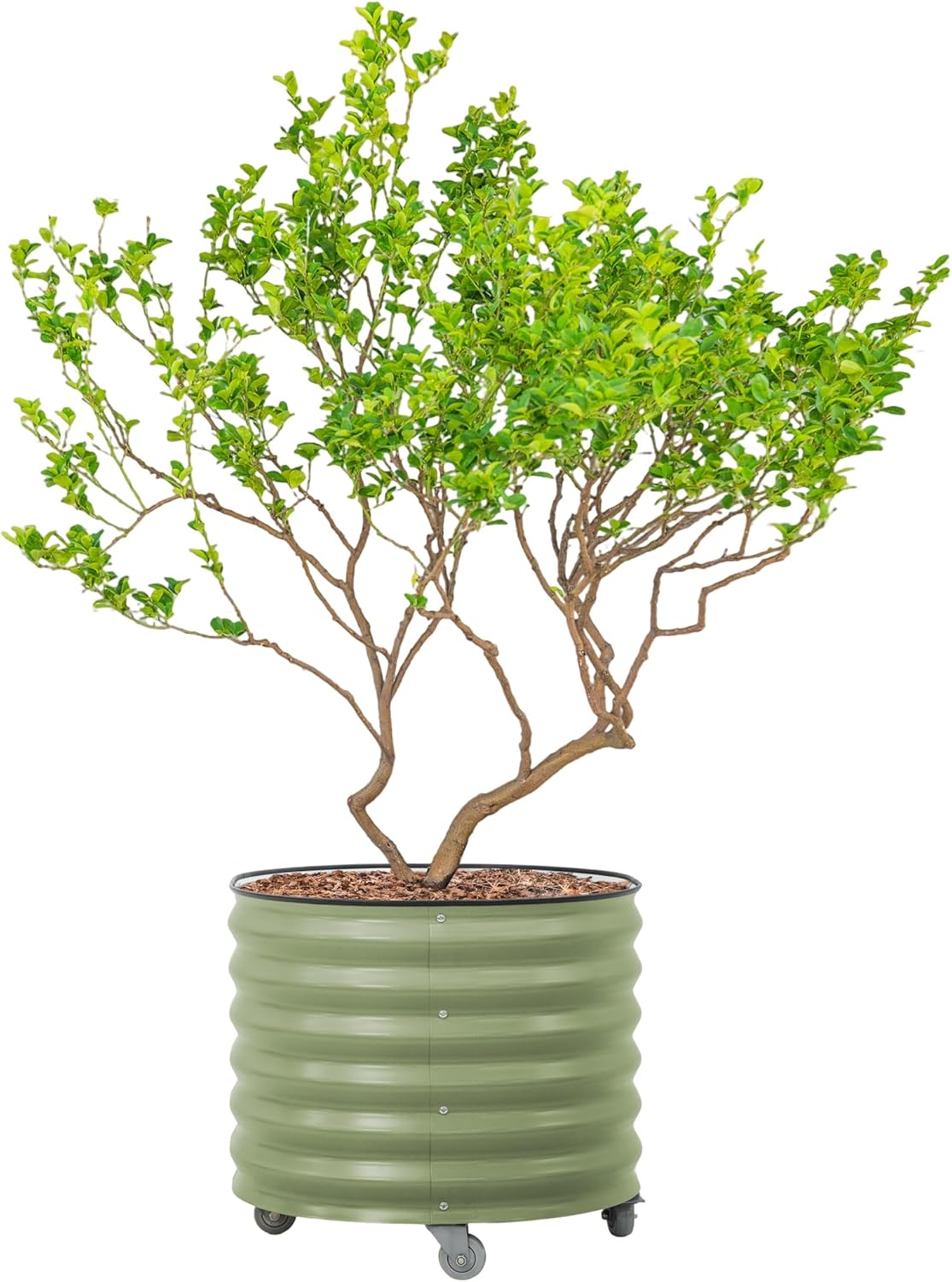 Rolling Metal Citrus Tree Planter Pot, 27″ Round Planter Box for Porch Patio & Backyard, 45 Gallon Large Planter Pot with Wheels for Growing Olive Trees Tomatoes Vegetables and Flowers, Olive Green