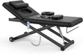 Dolonm Electric Massage Table, Heavy Duty Electric Lift and Electric Backrest 2 Motor Adjustable for Treatment/Medical Spa/Facial Bed/Beauty Bed/Massage Bed and More - 31.2 Wide x 75 Long, Black