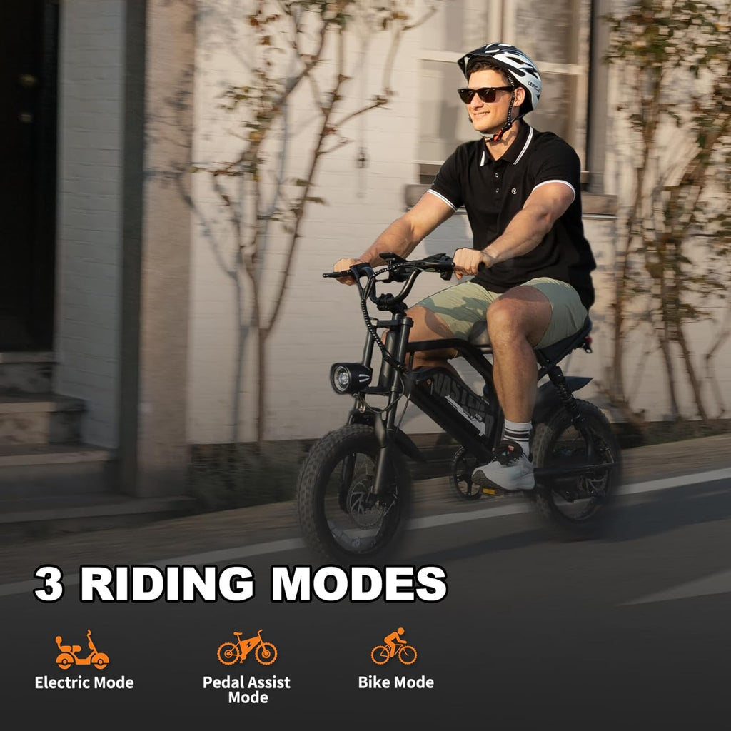 AVDLBIKE Electric Bike, 16'' Fat Tire E-Bike for Teens/Adults, 500W Small E-Bike with 36V/12.8Ah Removable Battery, Up to 22MPH, 45 Mile Range, Electric Dirt/Mountain Bike for Woman/Men A13