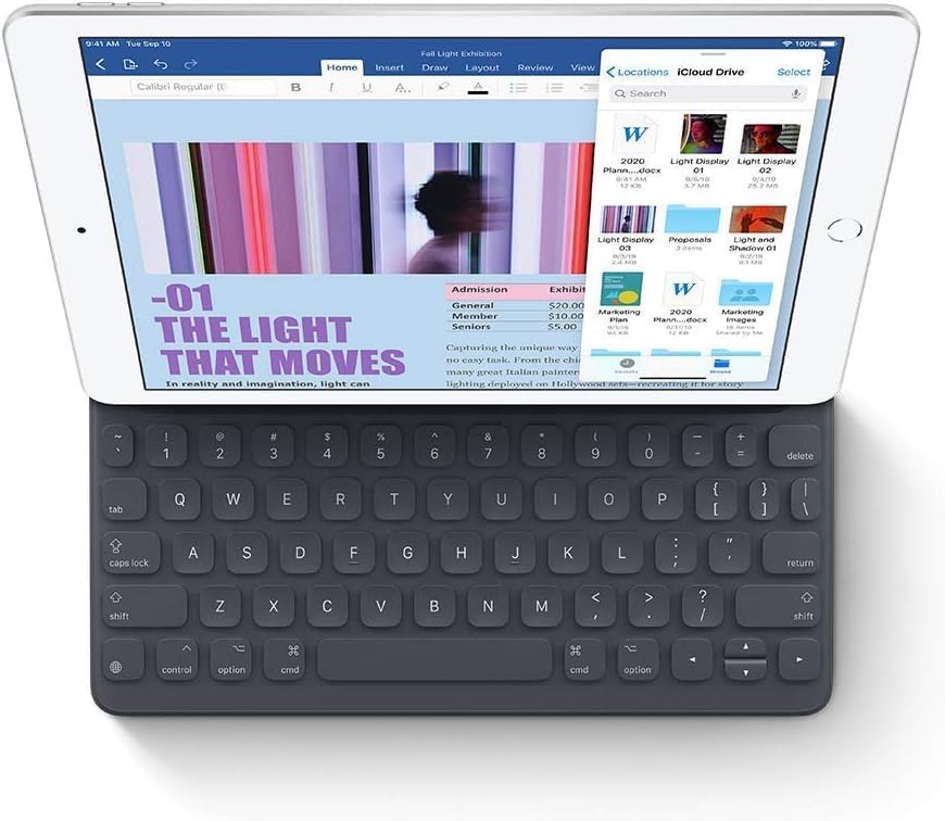 Apple 2019 iPad 7th Gen (10.2-inch, Wi-Fi, 32GB) Silver (Renewed)