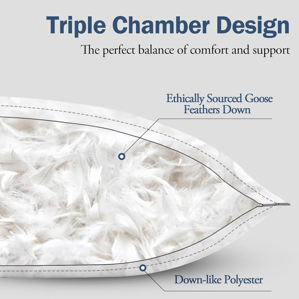 BPC Luxury Hotel Goose Feather Down Pillows Queen Size Set of 2, Medium Firm Bed Pillows for Sleeping, Organic Cotton Cover, Soft Yet Supportive Down Alternative Surround, RDS Certified, White 20"x30"