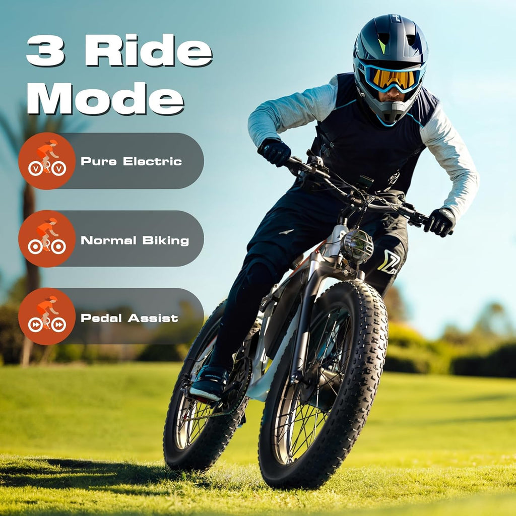 4000W Dual Motor Ebike with 52V 25Ah Removable Battery for Adults,Max Speed 38MPH Up to 100 Miles,24" Fat Tire Electric Bike for Snow Off-Road Commuter E-Bike for Men