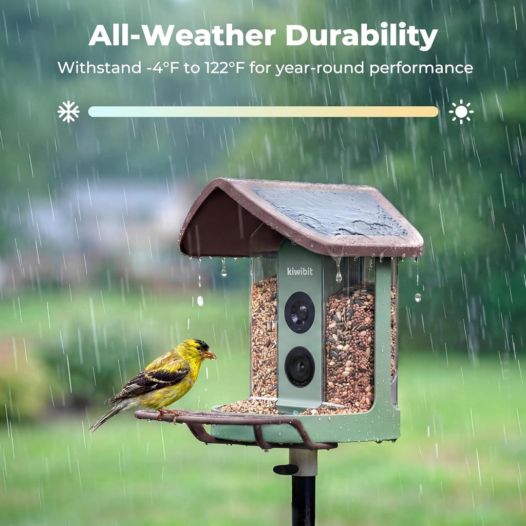 Kiwibit Solar Smart Bird Feeder with Camera No Subscription, AI Bird Species Identification, 4K HD Live Video & 8MP Photos, Wireless Outdoor Wild Bird Watching Gifts for Bird Lovers, Brown