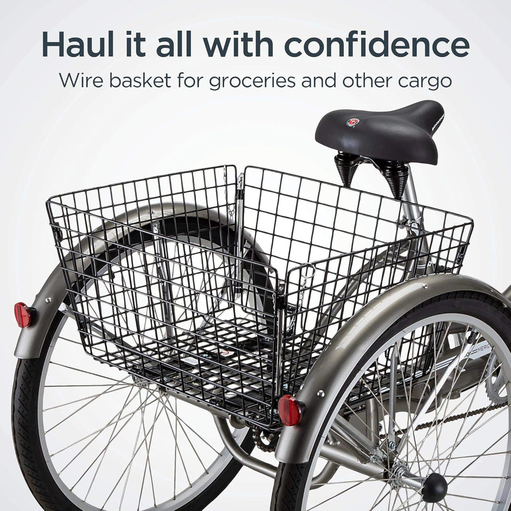 Schwinn Meridian