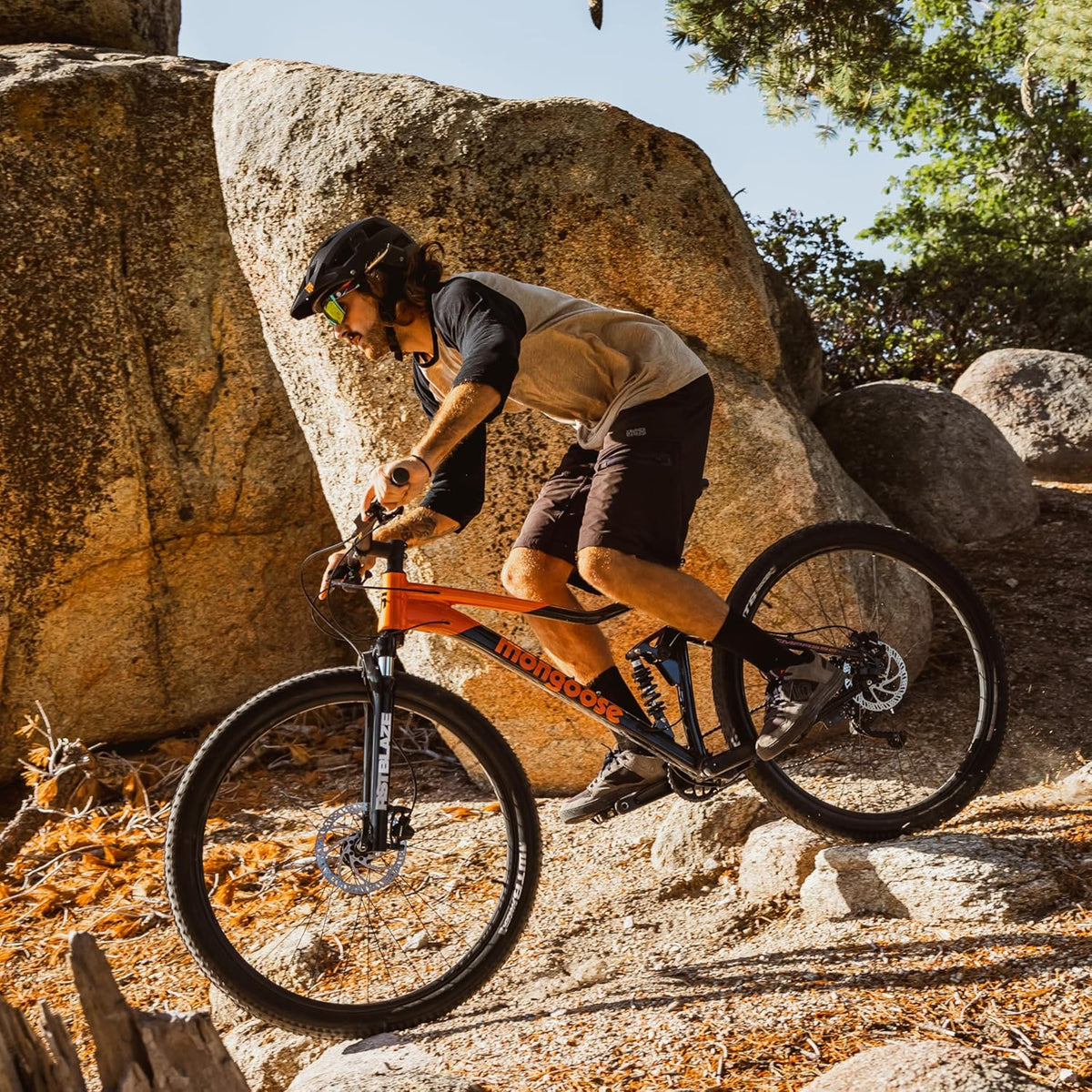 Mongoose Impassse