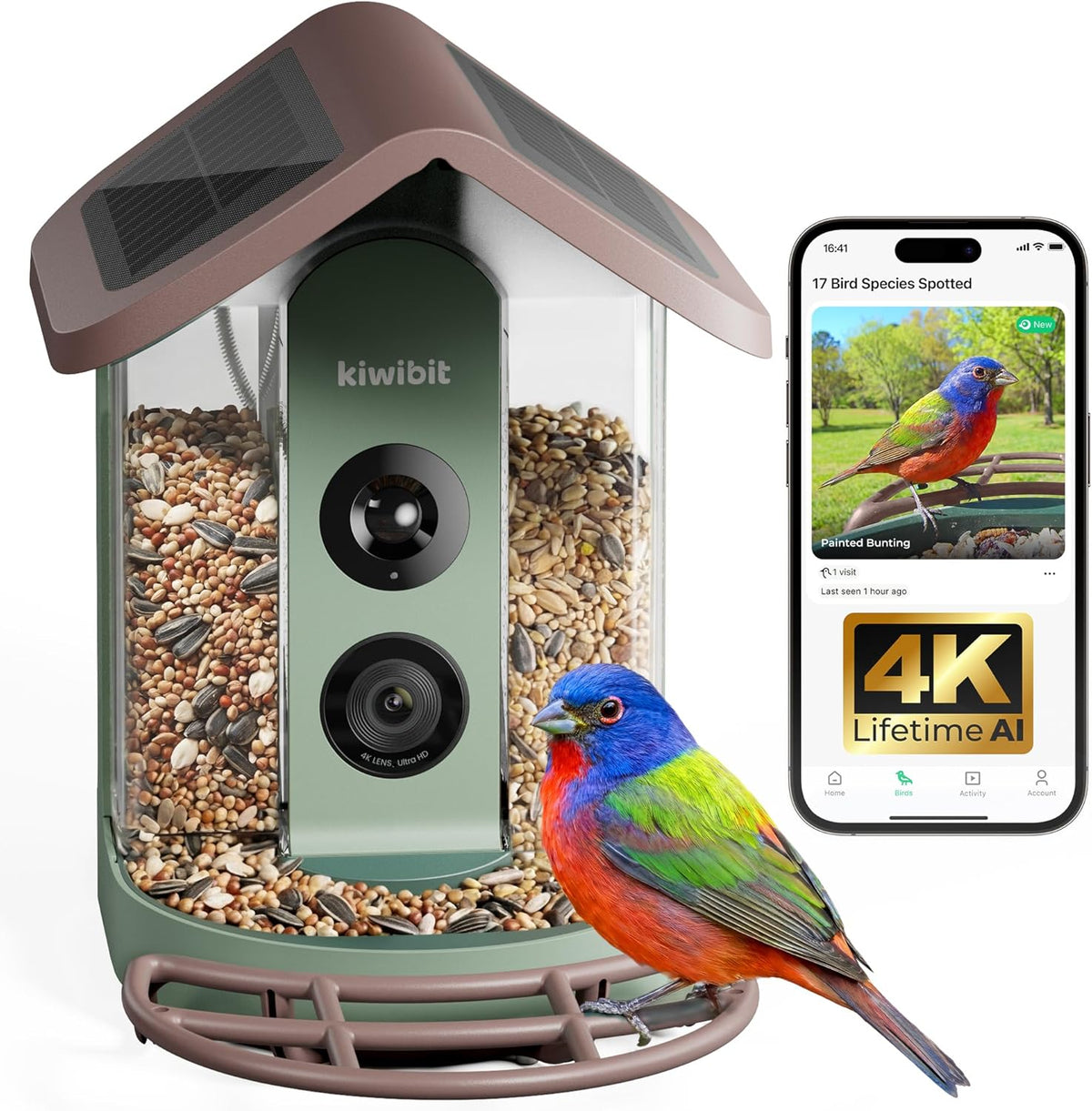 Kiwibit Solar Smart Bird Feeder with Camera No Subscription, AI Bird Species Identification, 4K HD Live Video & 8MP Photos, Wireless Outdoor Wild Bird Watching Gifts for Bird Lovers, Brown