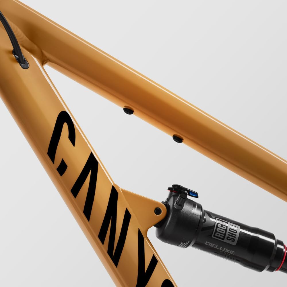 Canyon Spectral 5