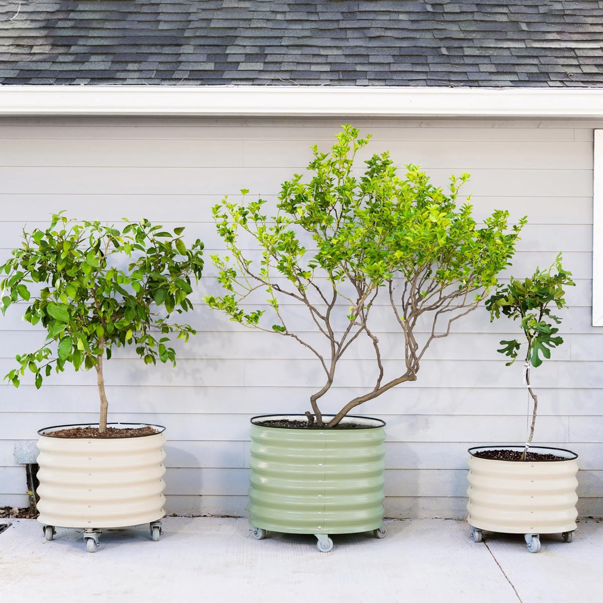 Rolling Metal Citrus Tree Planter Pot, 27″ Round Planter Box for Porch Patio & Backyard, 45 Gallon Large Planter Pot with Wheels for Growing Olive Trees Tomatoes Vegetables and Flowers, Olive Green