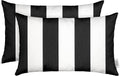 RSH DECOR: Sunbrella Lumbar Throw Pillows Set of 2 | 20" x 12" | Water and Fade-Resistant Performance Fabric | Outdoor Pillow Covers with Down-Alternative Inserts | Cabana Classic