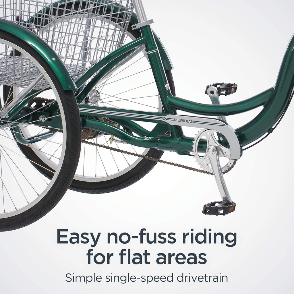 Schwinn Meridian