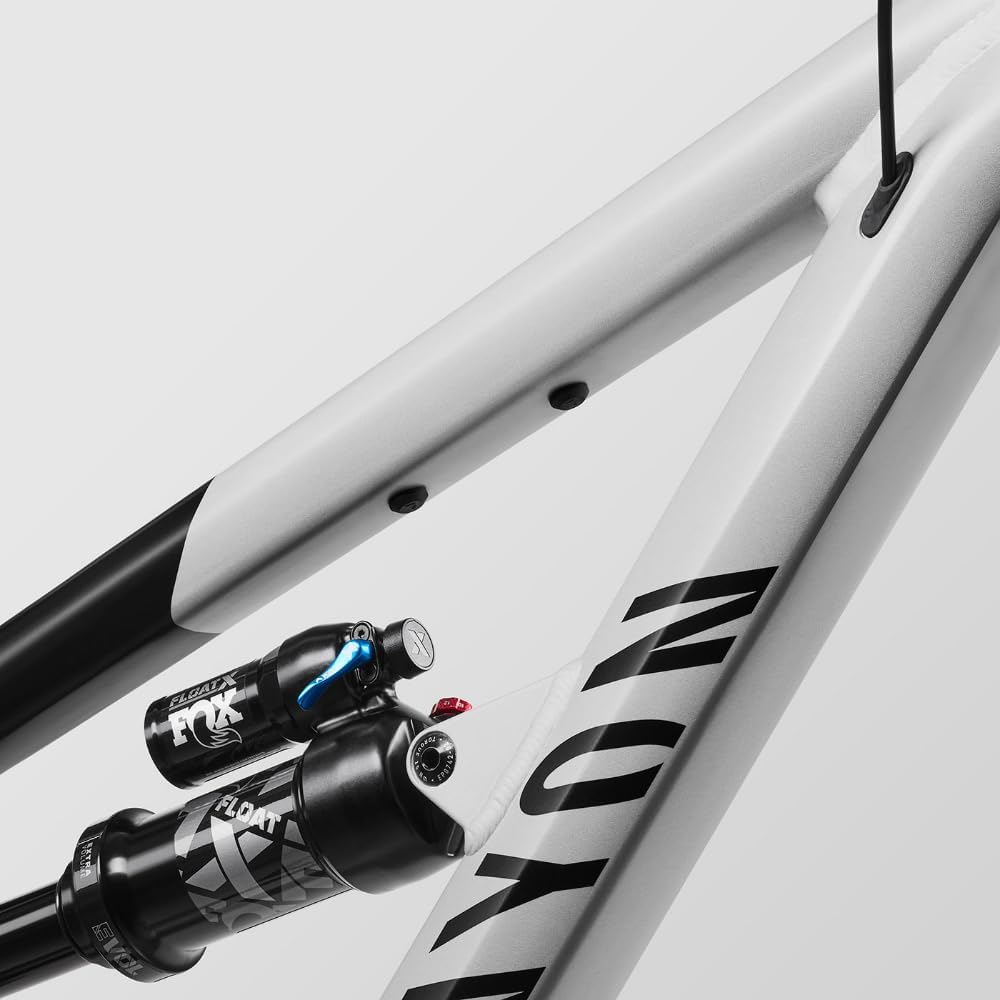 Canyon Spectral 6