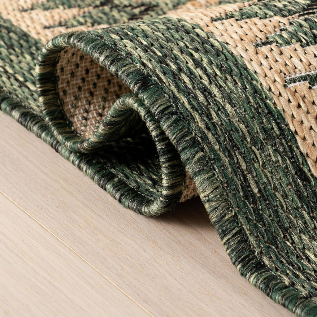 Dash & Albert Essoria Green Indoor/Outdoor Rug Rug, 8 X 10 Feet, Green/Black Bordered Pattern