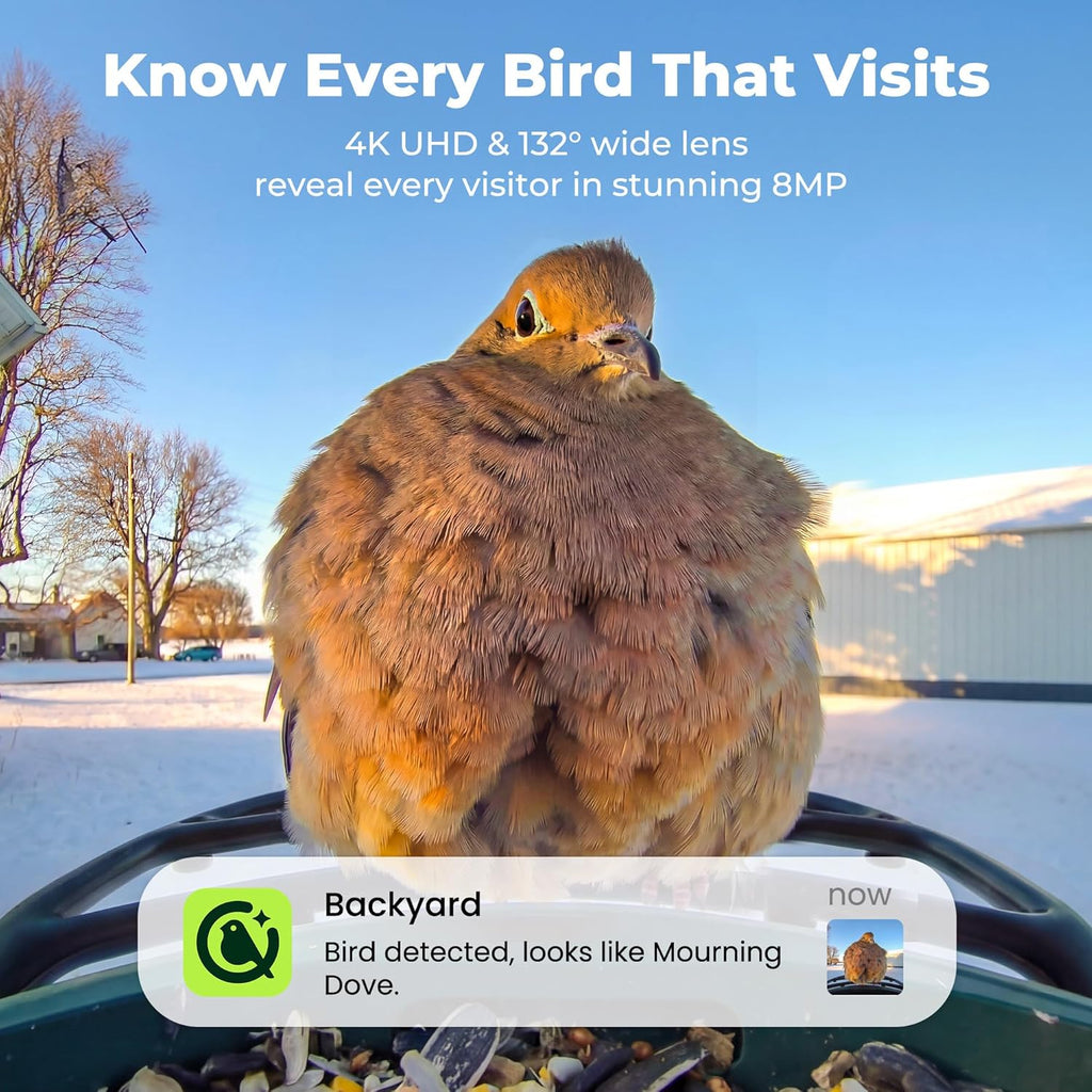 Kiwibit Solar Smart Bird Feeder with Camera No Subscription, AI Bird Species Identification, 4K HD Live Video & 8MP Photos, Wireless Outdoor Wild Bird Watching Gifts for Bird Lovers, Brown