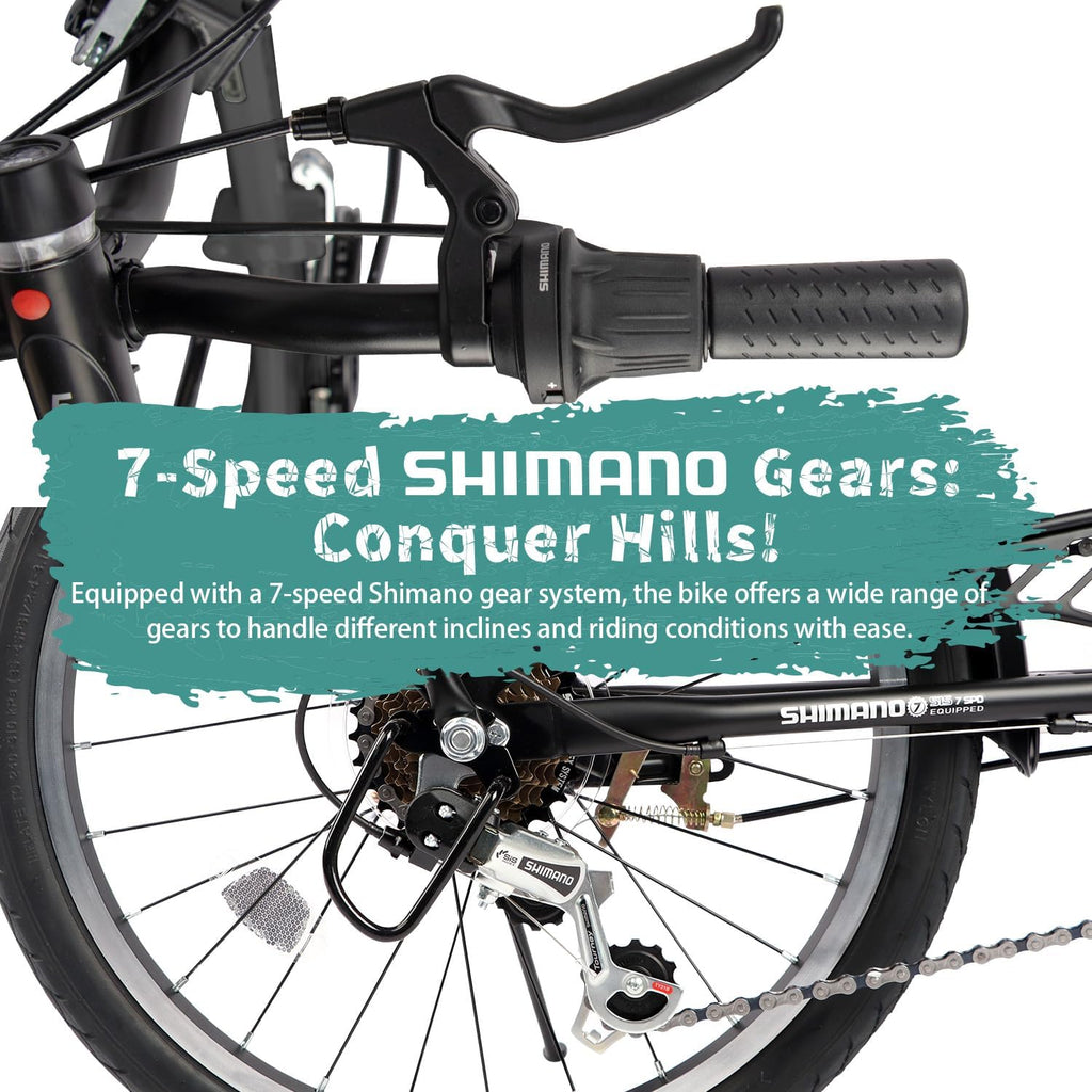 AVASTA Quartet 20 24 Inch Folding Bike with 7-Speed, Dual C-Brake, Fender, Rear Rack and Bicycle Basket, Mutiple Colors