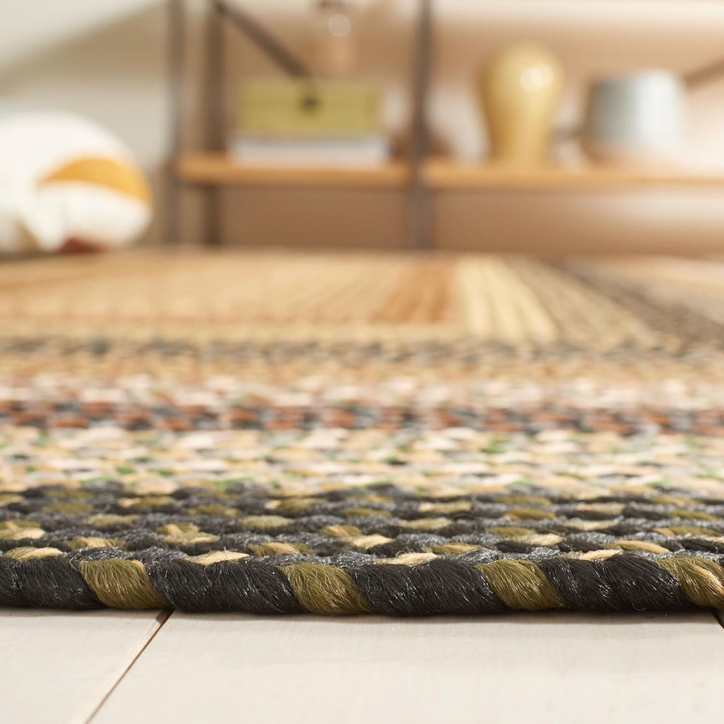 SAFAVIEH Washable Rug Outdoor Braided Collection - 8' x 10', Multi, Handmade & Reversible, Non-Shedding & Easy to Clean, Ideal for Patio, Backyard, Mudroom (BRD308A)