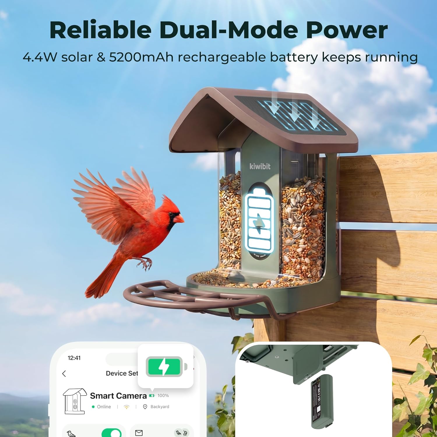 Kiwibit Solar Smart Bird Feeder with Camera No Subscription, AI Bird Species Identification, 4K HD Live Video & 8MP Photos, Wireless Outdoor Wild Bird Watching Gifts for Bird Lovers, Brown