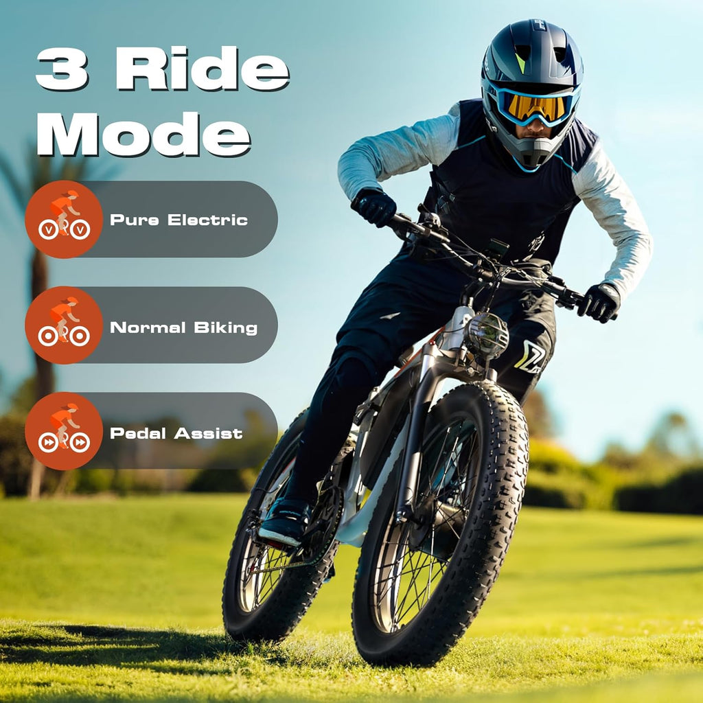 4000W Dual Motor Ebike with 52V 25Ah Removable Battery for Adults,Max Speed 38MPH Up to 100 Miles,24" Fat Tire Electric Bike for Snow Off-Road Commuter E-Bike for Men